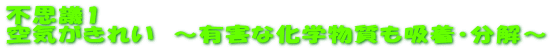 svc1 Cꂢ@`LQȉwzE`